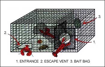 lobster_trap_design_03